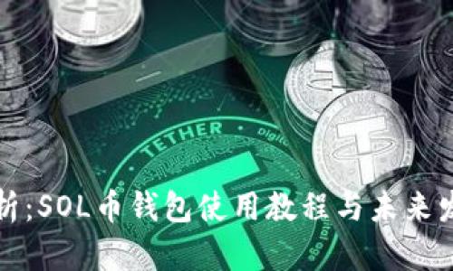 详细解析：SOL币钱包使用教程与未来发展趋势