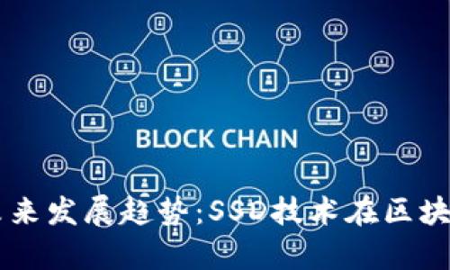 以太坊钱包的未来发展趋势：SSD技术在区块链存储中的应用