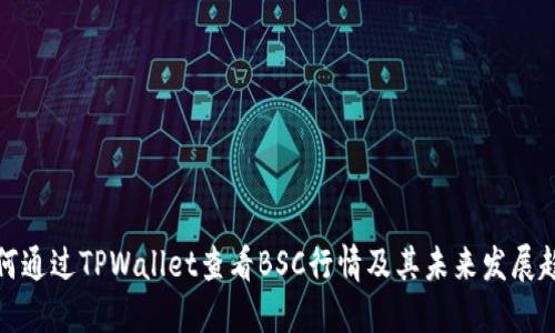 如何通过TPWallet查看BSC行情及其未来发展趋势