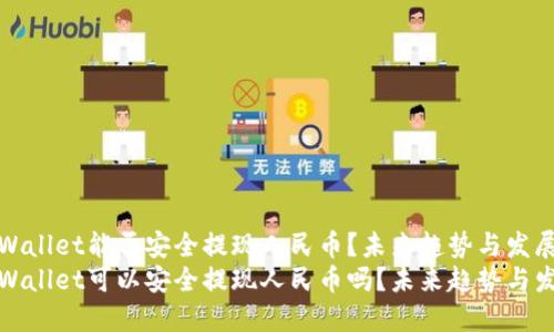 TPWallet能否安全提现人民币？未来趋势与发展
TPWallet可以安全提现人民币吗？未来趋势与发展