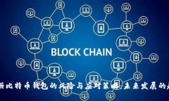 手机注册比特币钱包的风险与应对策略