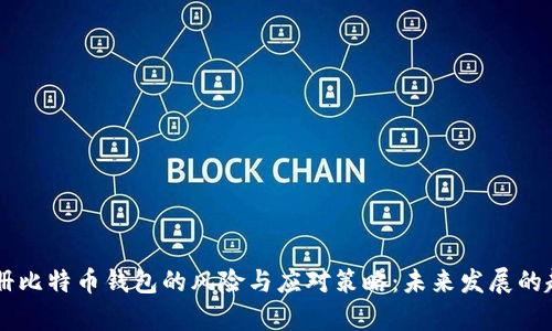 手机注册比特币钱包的风险与应对策略：未来发展的趋势分析