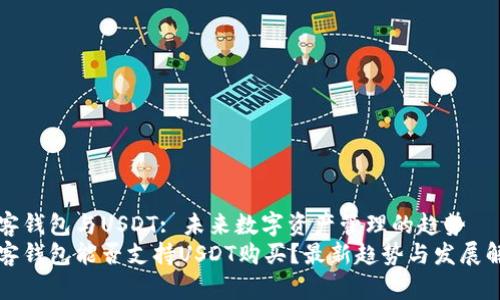 极客钱包与USDT: 未来数字资产管理的趋势
极客钱包能否支持USDT购买？最新趋势与发展解析