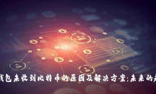 比特币钱包未收到比特币的原因及解决方案：未来的趋势解析