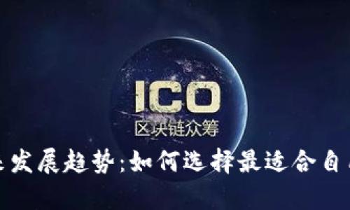 探索比特币钱包的未来发展趋势：如何选择最适合自己的数字货币存储方案