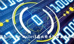 谷歌钱包（Google Wallet）存比特币的未来发展与趋