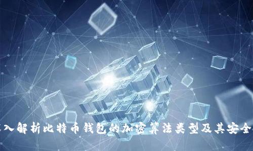 深入解析比特币钱包的加密算法类型及其安全性