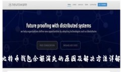 比特币钱包余额消失的原因及解决方法