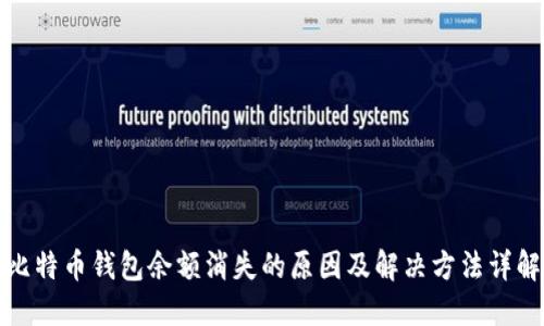 比特币钱包余额消失的原因及解决方法详解