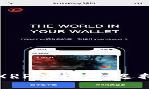 与关键词

全方位解析支持XRP的钱包：选择最佳钱包的指南