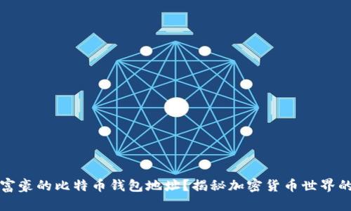 如何找到富豪的比特币钱包地址？揭秘加密货币世界的财富秘密
