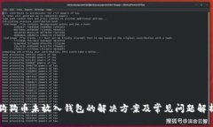 狗狗币未放入钱包的解决方案及常见问