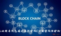 为什么比特币钱包有必要设密码？详解