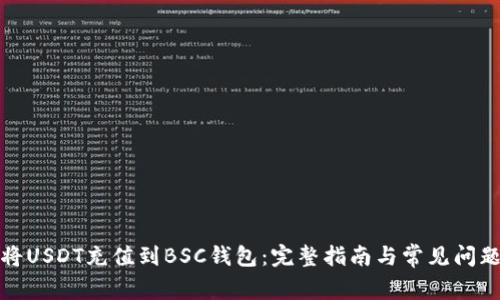 如何将USDT充值到BSC钱包：完整指南与常见问题解答