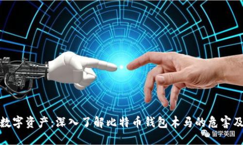 保护你的数字资产：深入了解比特币钱包木马的危害及防范措施