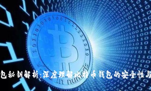 比特币钱包秘钥解析：深度理解比特币钱包的安全性与使用技巧