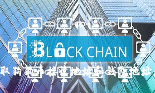 : 如何获取狗狗币接收地址和钱包地址：全面指南