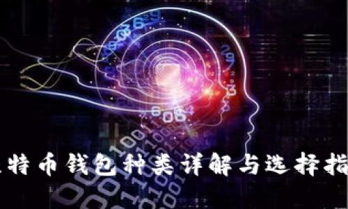 比特币钱包种类详解与选择指南