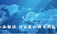 比特币钱包全面解读：什么是比特币钱